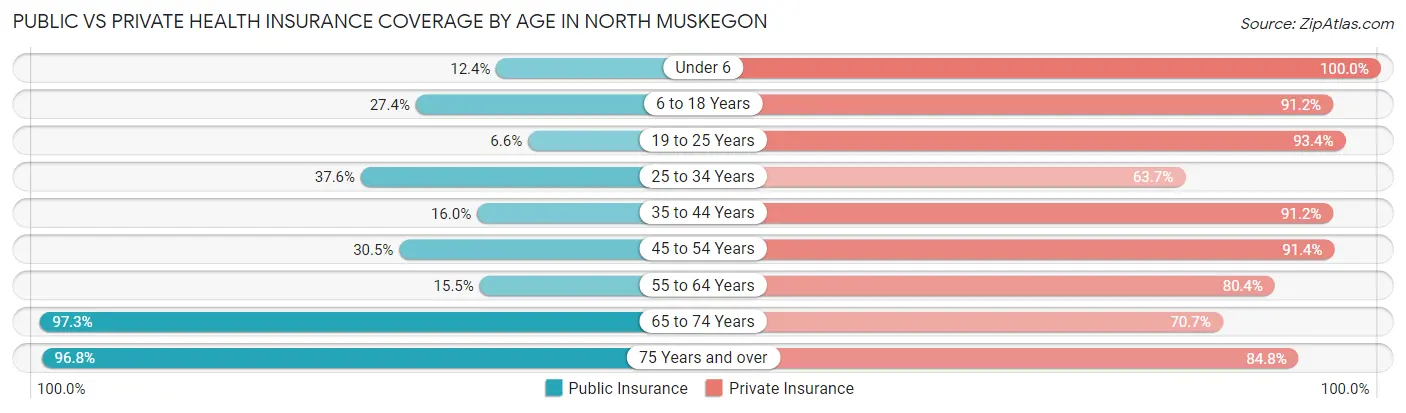 Public vs Private Health Insurance Coverage by Age in North Muskegon