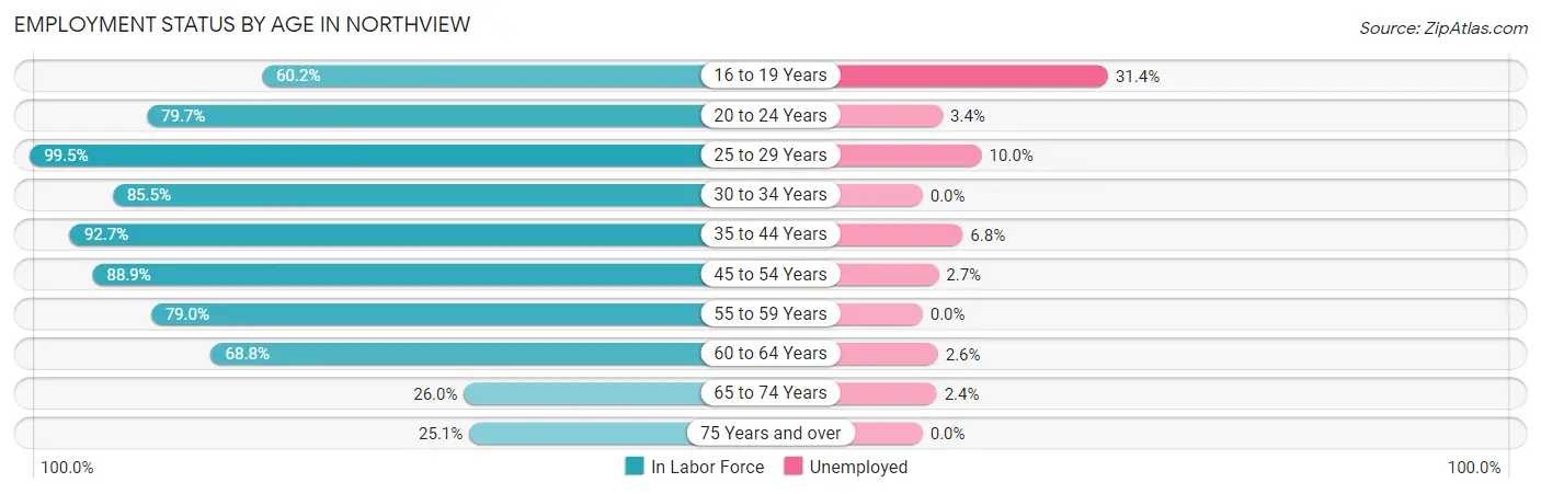 Employment Status by Age in Northview