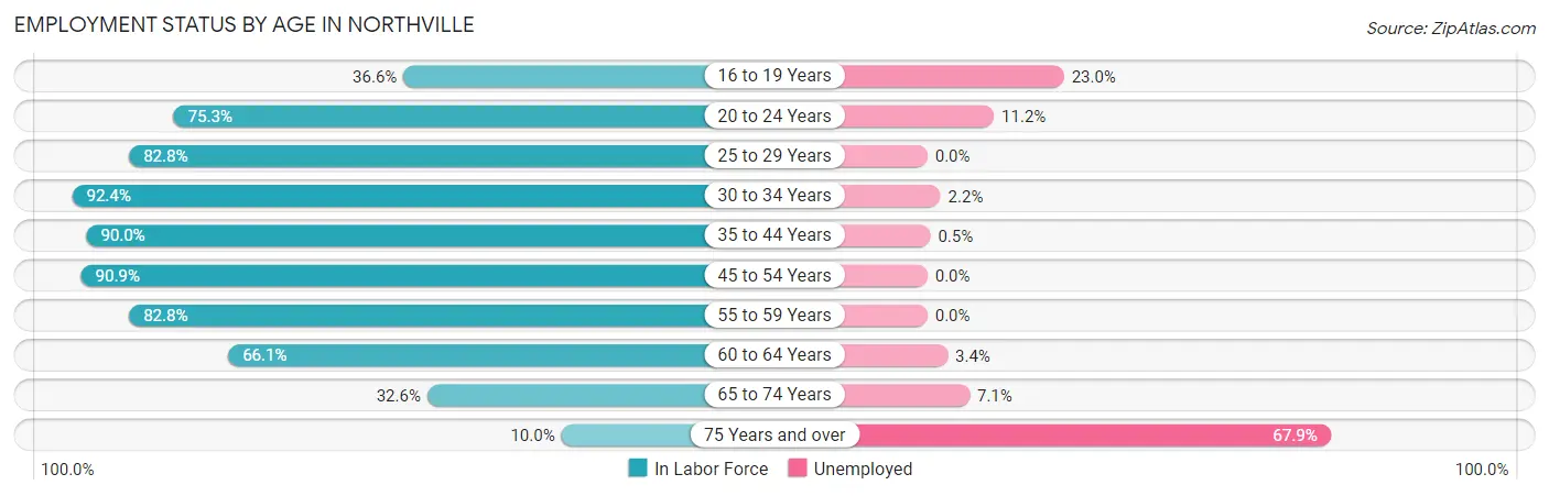 Employment Status by Age in Northville