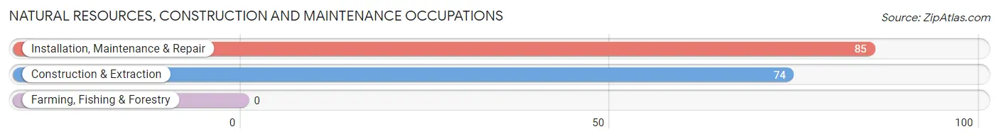 Natural Resources, Construction and Maintenance Occupations in Northville