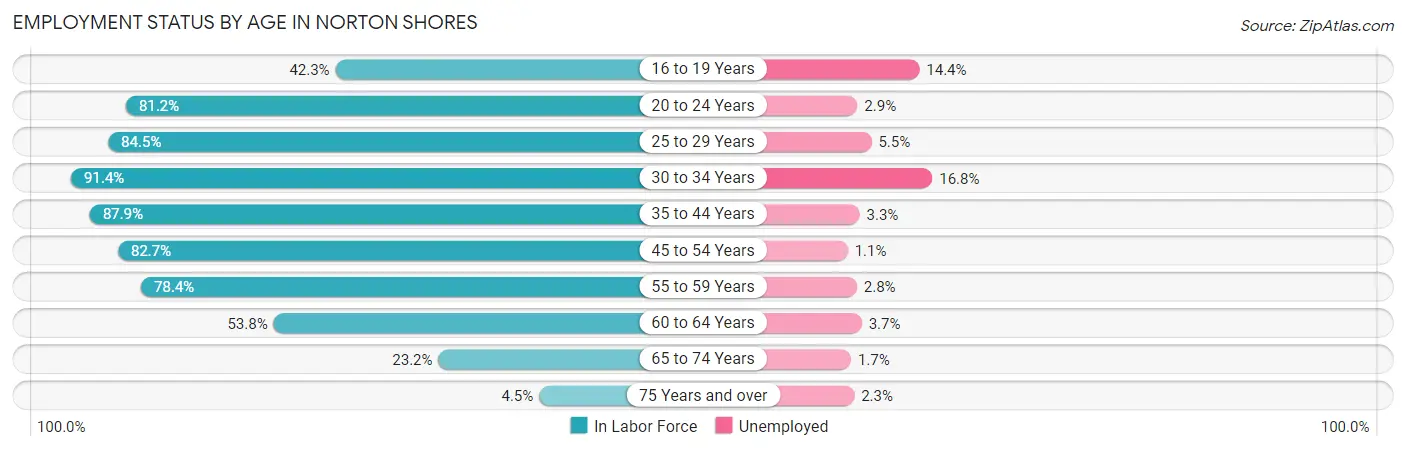 Employment Status by Age in Norton Shores