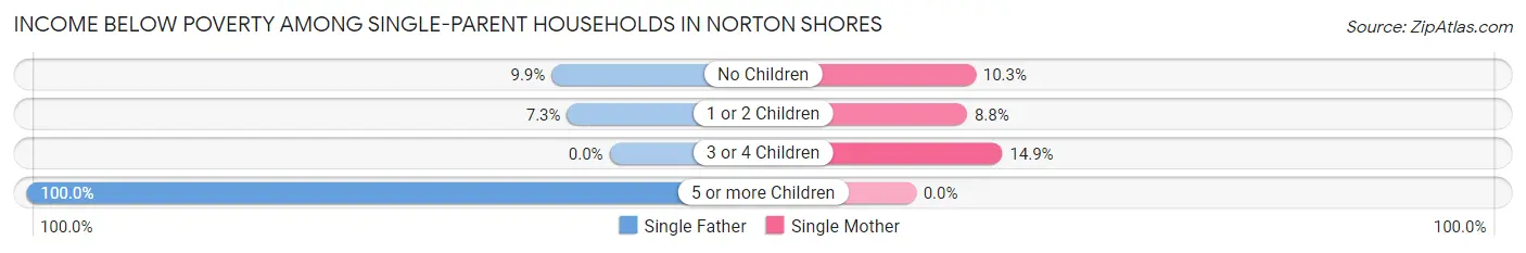 Income Below Poverty Among Single-Parent Households in Norton Shores