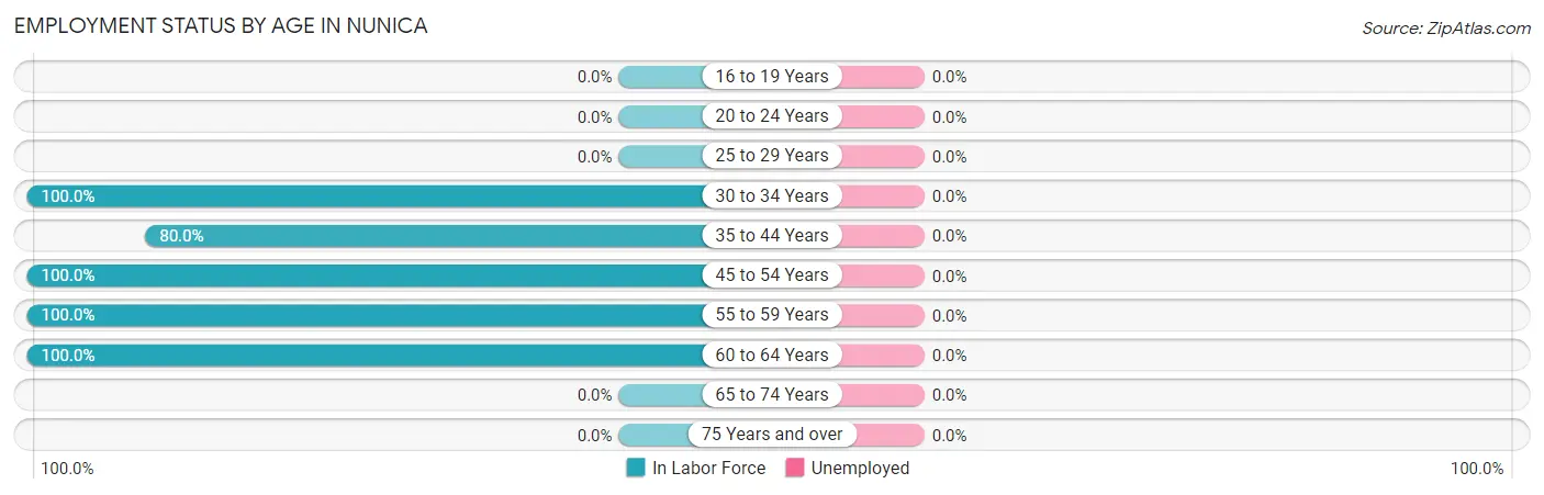 Employment Status by Age in Nunica