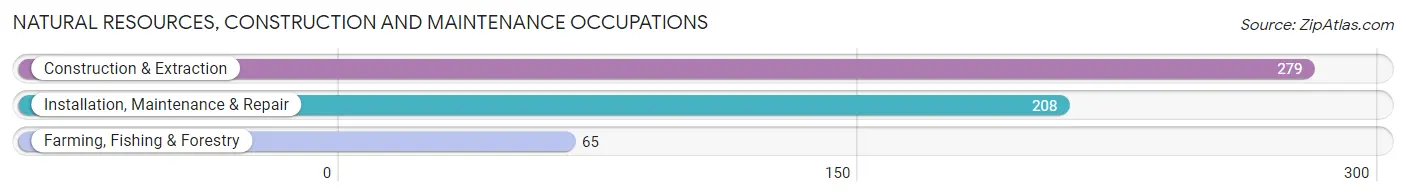 Natural Resources, Construction and Maintenance Occupations in Oak Park