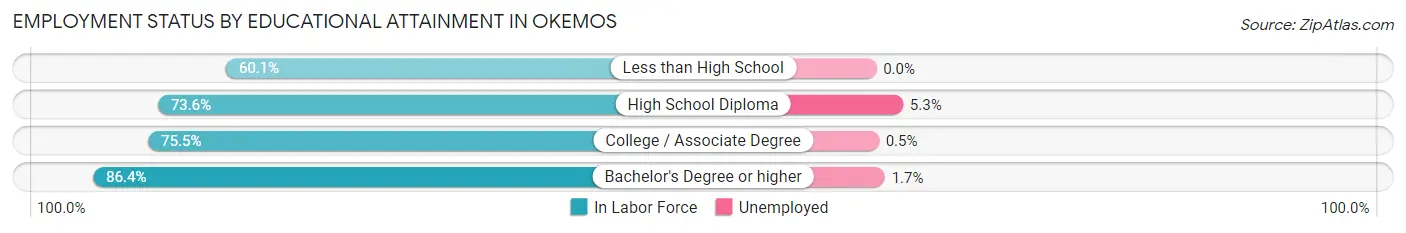 Employment Status by Educational Attainment in Okemos
