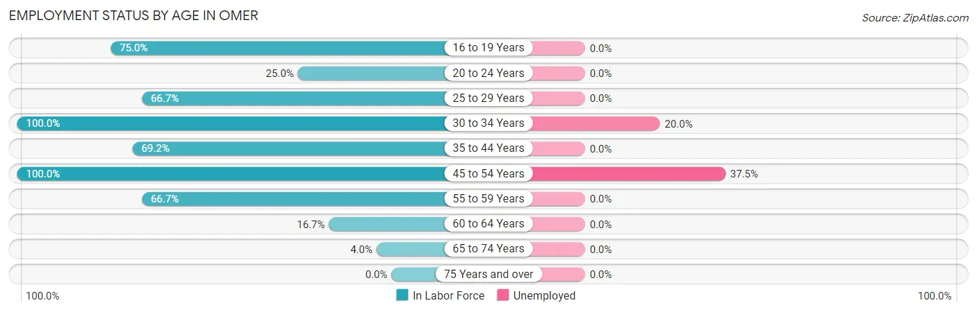 Employment Status by Age in Omer