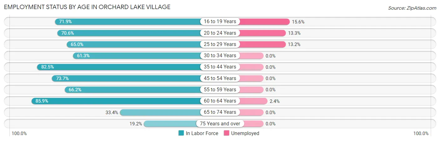 Employment Status by Age in Orchard Lake Village