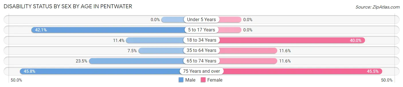 Disability Status by Sex by Age in Pentwater
