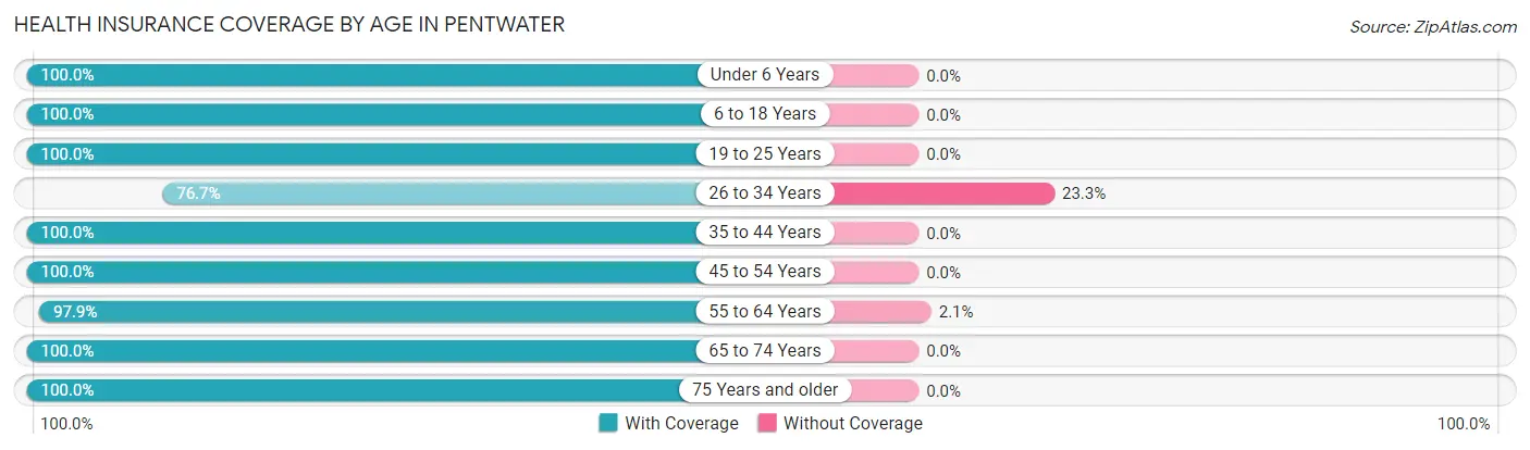 Health Insurance Coverage by Age in Pentwater