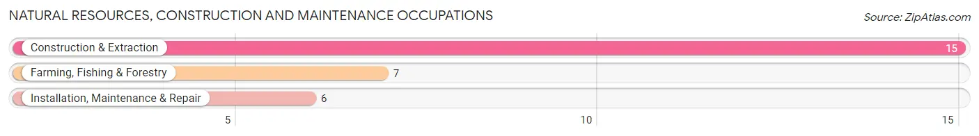 Natural Resources, Construction and Maintenance Occupations in Perrinton