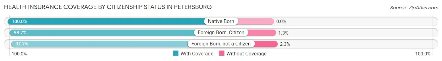 Health Insurance Coverage by Citizenship Status in Petersburg
