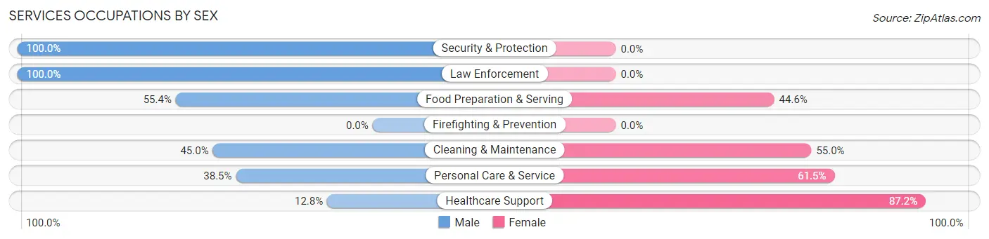 Services Occupations by Sex in Petoskey