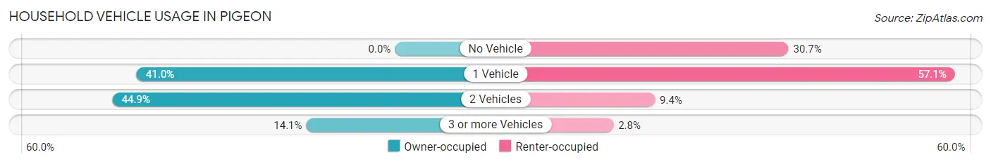 Household Vehicle Usage in Pigeon