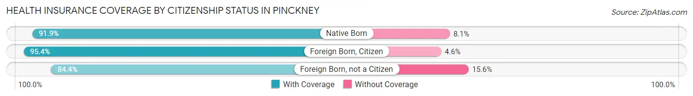 Health Insurance Coverage by Citizenship Status in Pinckney