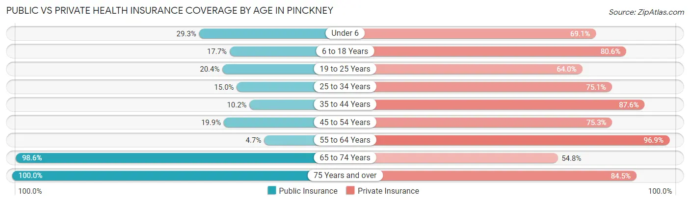 Public vs Private Health Insurance Coverage by Age in Pinckney
