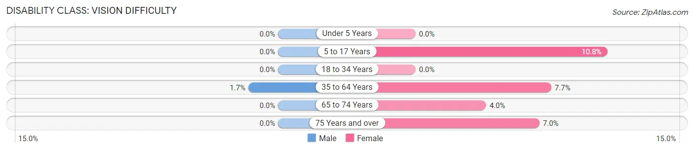 Disability in Plainwell: <span>Vision Difficulty</span>