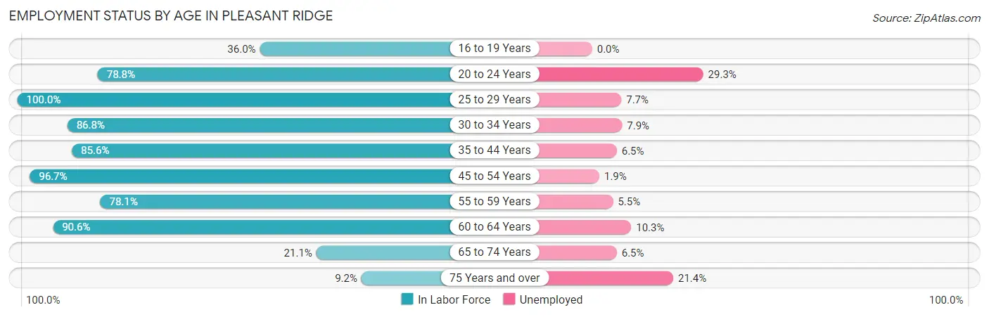 Employment Status by Age in Pleasant Ridge