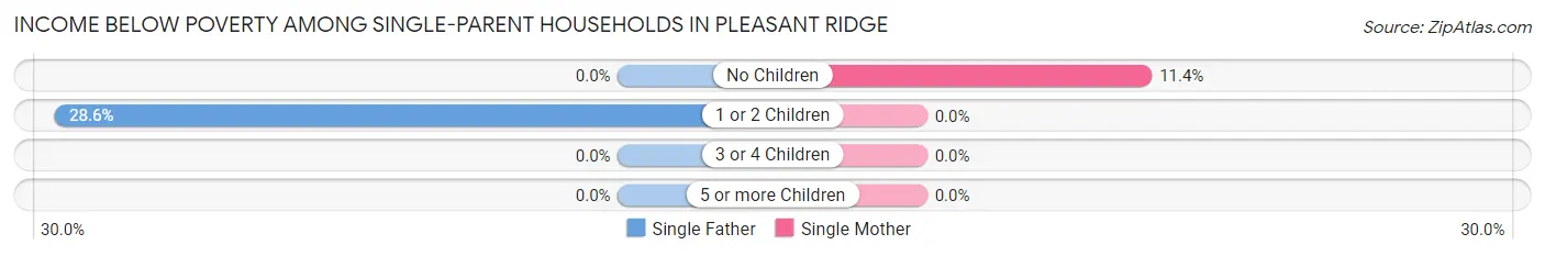 Income Below Poverty Among Single-Parent Households in Pleasant Ridge