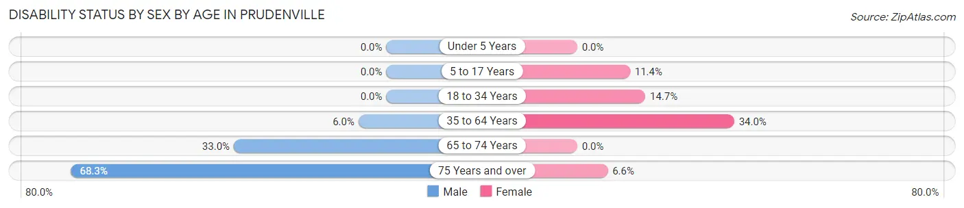 Disability Status by Sex by Age in Prudenville