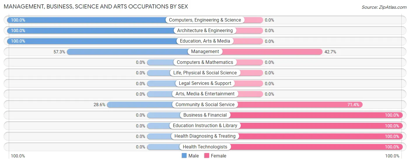 Management, Business, Science and Arts Occupations by Sex in Prudenville