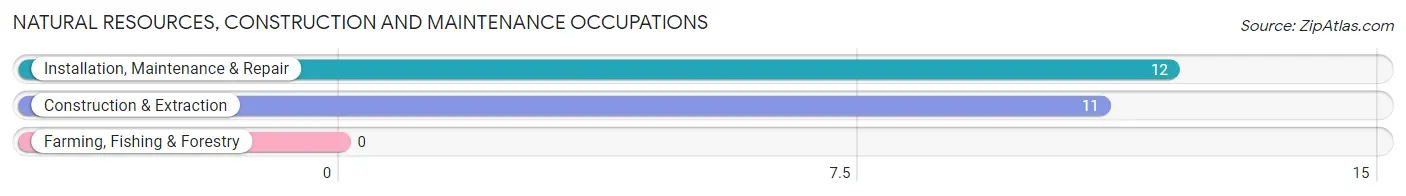 Natural Resources, Construction and Maintenance Occupations in Republic