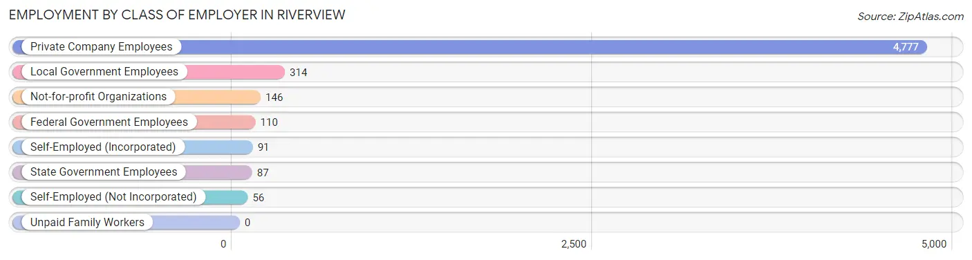 Employment by Class of Employer in Riverview