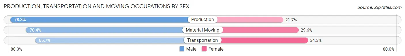 Production, Transportation and Moving Occupations by Sex in Roosevelt Park