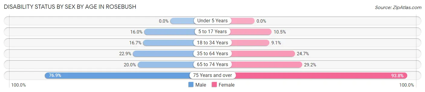 Disability Status by Sex by Age in Rosebush