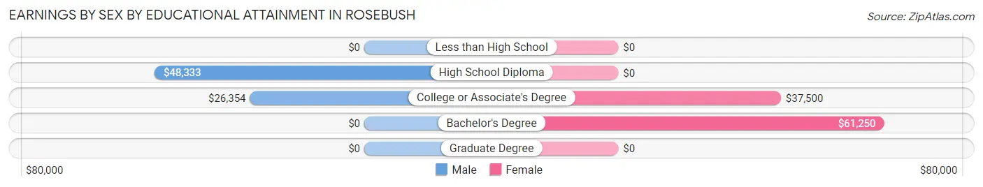 Earnings by Sex by Educational Attainment in Rosebush