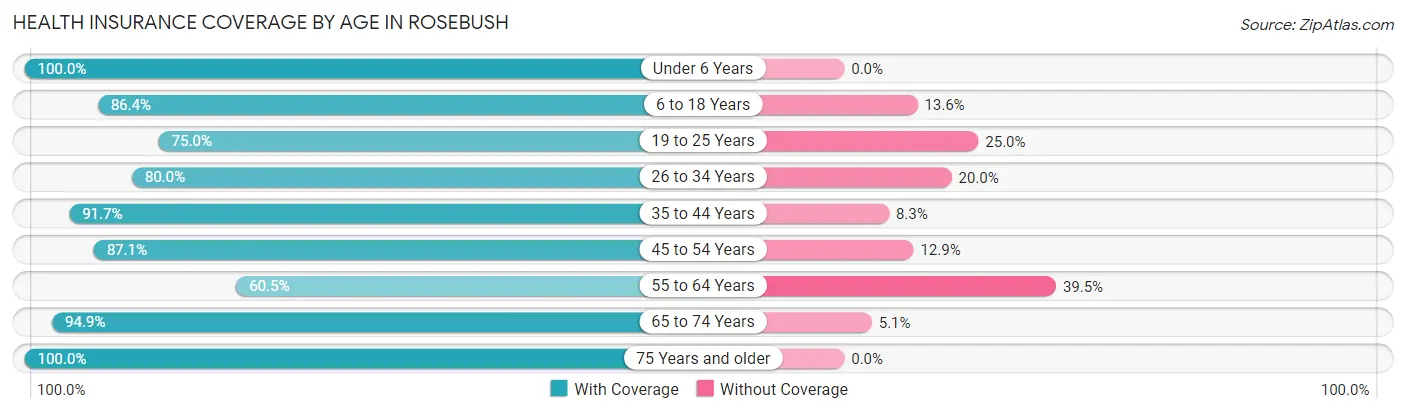 Health Insurance Coverage by Age in Rosebush