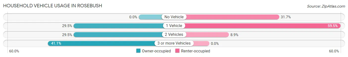 Household Vehicle Usage in Rosebush