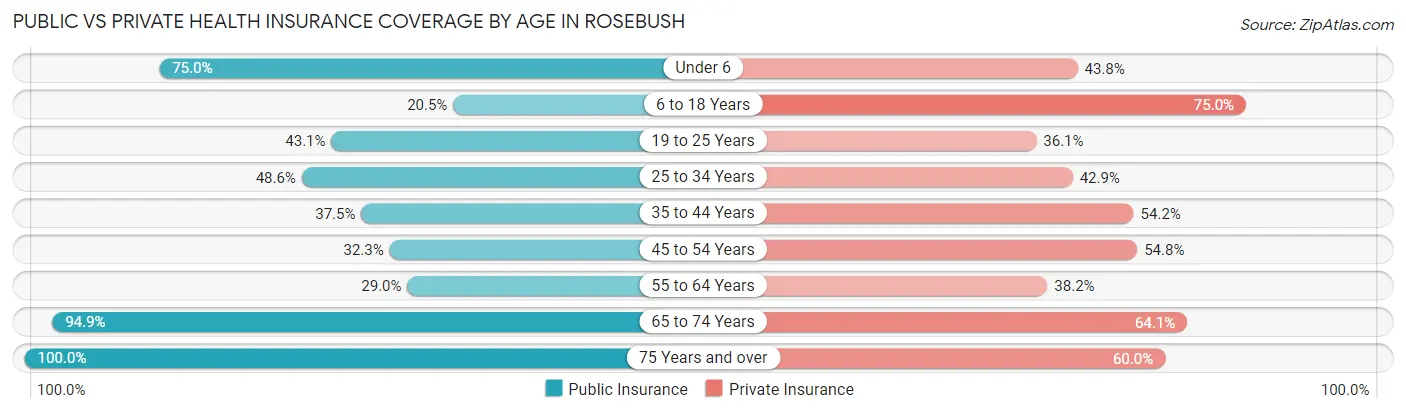 Public vs Private Health Insurance Coverage by Age in Rosebush