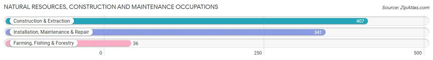 Natural Resources, Construction and Maintenance Occupations in Saginaw