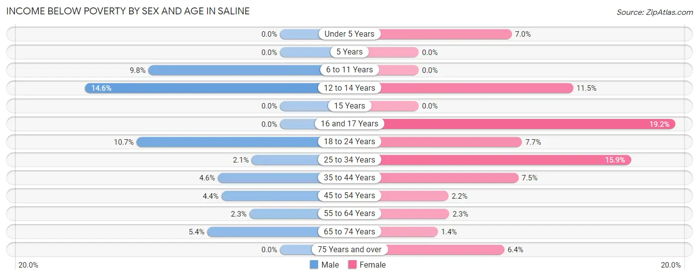 Income Below Poverty by Sex and Age in Saline