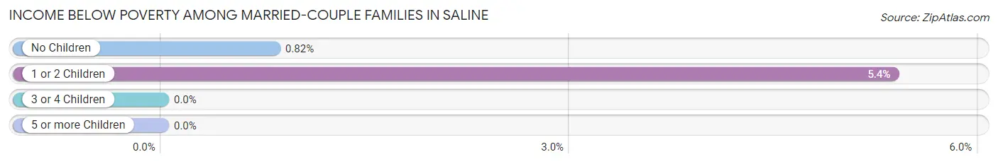Income Below Poverty Among Married-Couple Families in Saline