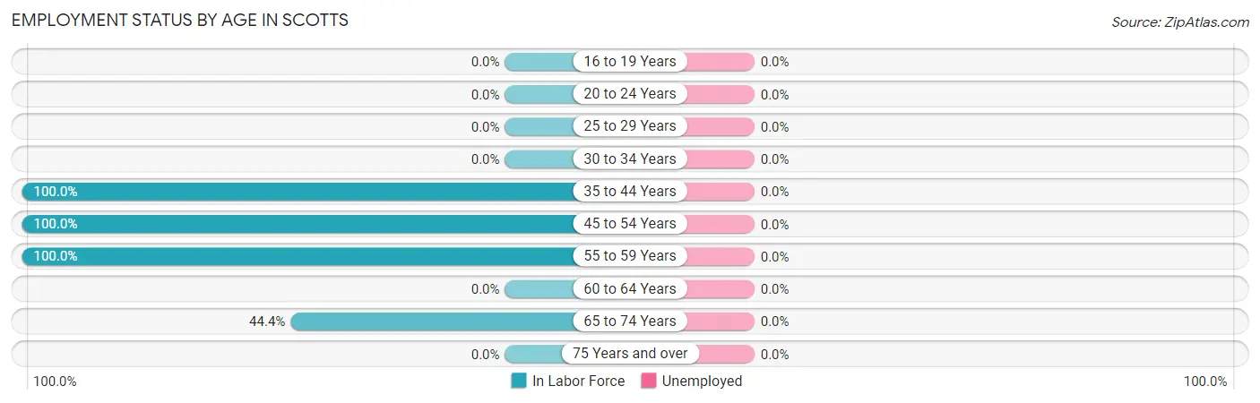 Employment Status by Age in Scotts