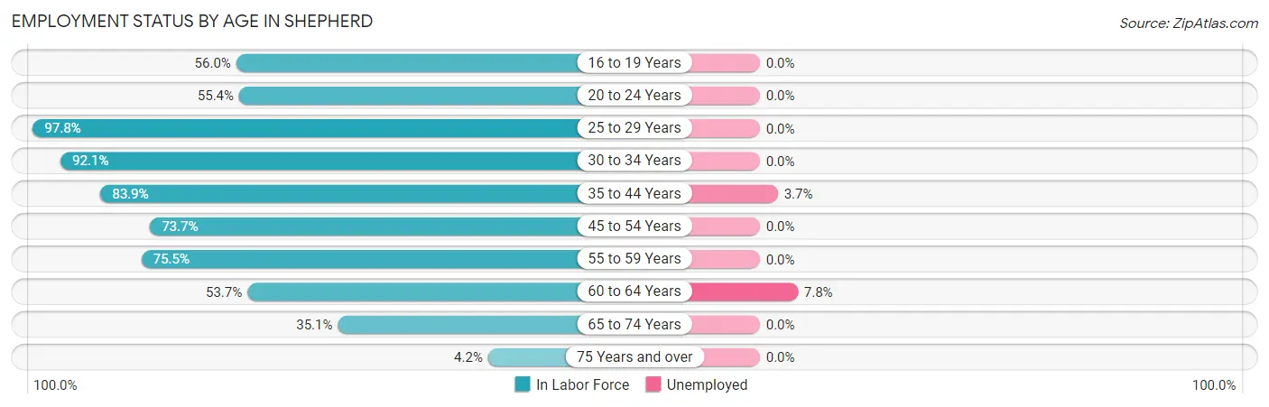 Employment Status by Age in Shepherd