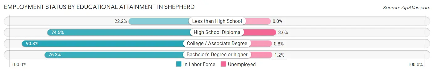 Employment Status by Educational Attainment in Shepherd