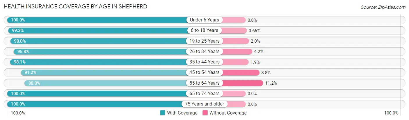 Health Insurance Coverage by Age in Shepherd