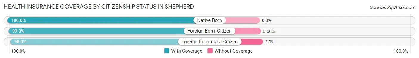 Health Insurance Coverage by Citizenship Status in Shepherd