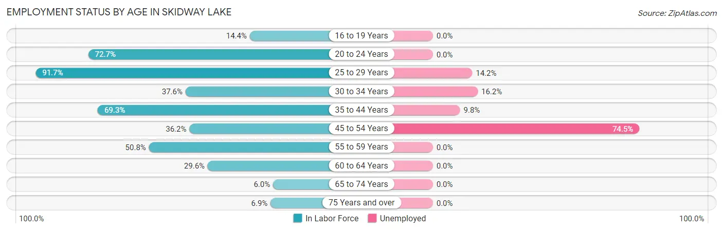 Employment Status by Age in Skidway Lake