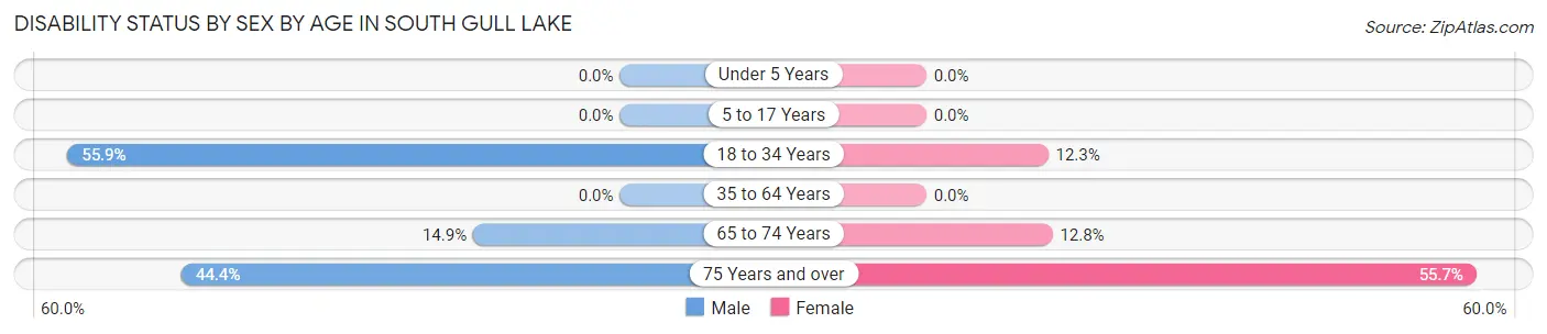 Disability Status by Sex by Age in South Gull Lake