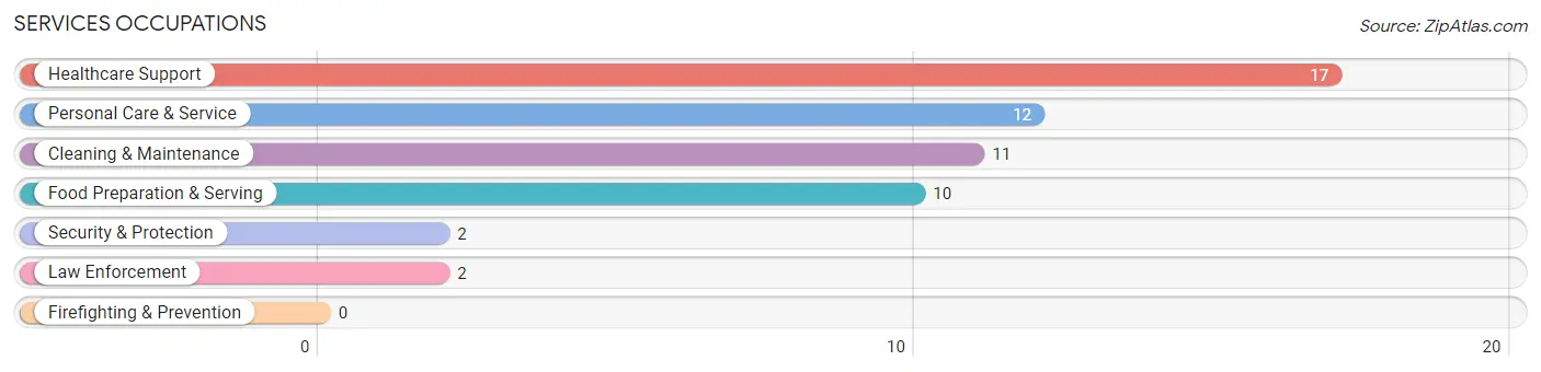 Services Occupations in South Range