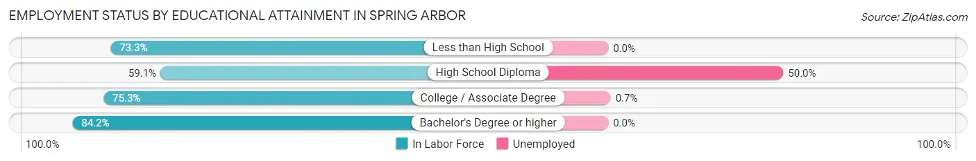 Employment Status by Educational Attainment in Spring Arbor
