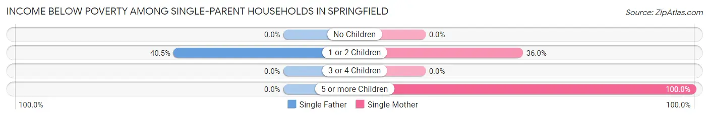 Income Below Poverty Among Single-Parent Households in Springfield