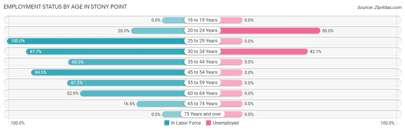 Employment Status by Age in Stony Point