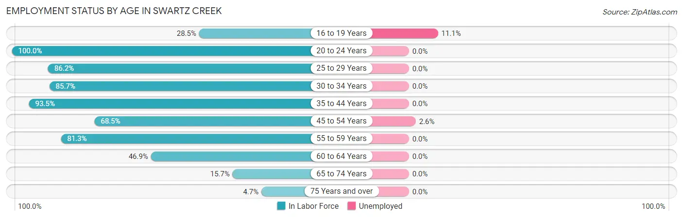 Employment Status by Age in Swartz Creek