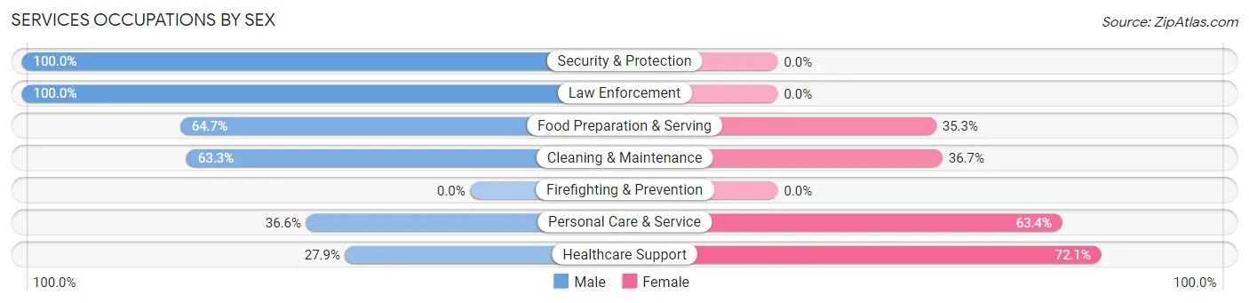 Services Occupations by Sex in Swartz Creek