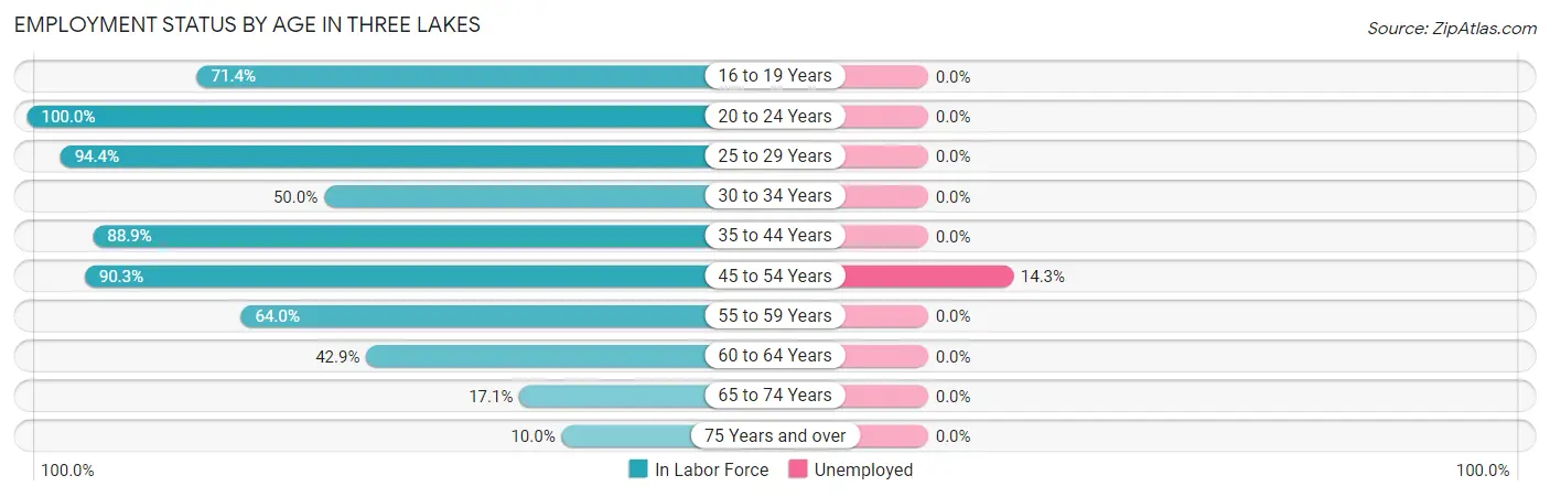 Employment Status by Age in Three Lakes