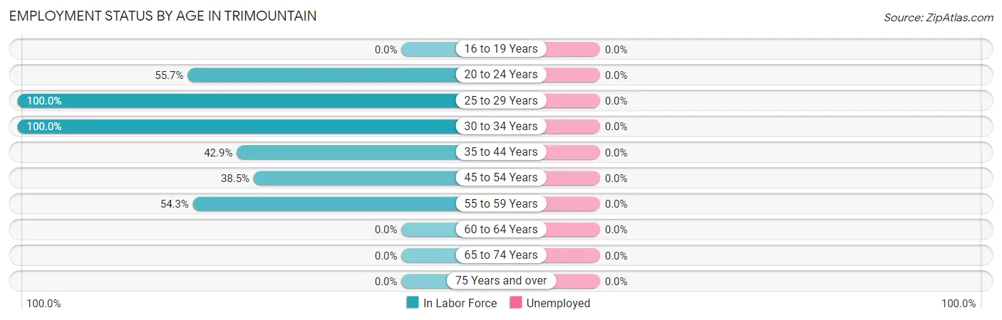 Employment Status by Age in Trimountain
